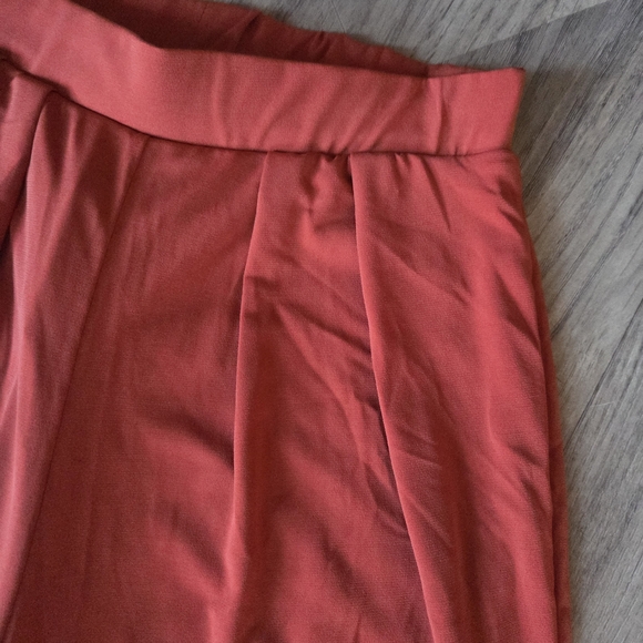 Red/Rust Wide-Leg Pants - Picture 4 of 4